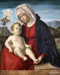 Madonna and Child by Cima da Conegliano