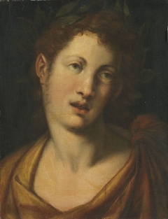 Männliches Bildnis by Cristofano Allori