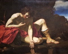 Narcissus by Gerard van der Kuijl