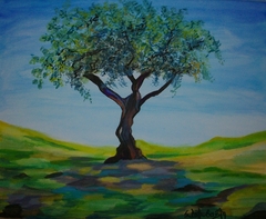 Olive tree in Kaisariani by Spyridoula Dimovasili