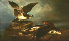 Osprey and the Otter and the Salmon by John James Audubon