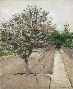 Apple Tree in Bloom (Pommier en fleurs) by Gustave Caillebotte