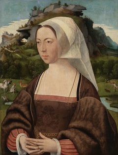 Portrait of an Unknown Woman by Jan Jansz Mostaert