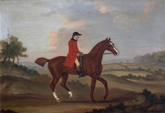 'Prophet', a Hunter, belonging to Sir John Pole by Francis Sartorius