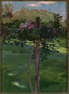 Rose shrub by Henryk Szczyglinski