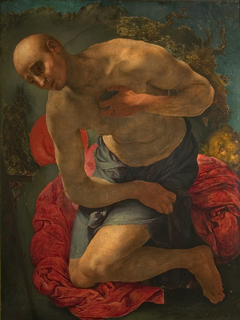 Saint Jerome penitent by Pontormo