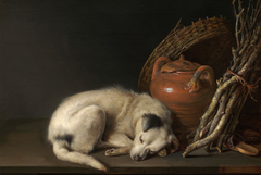 Sleeping Dog by Gerrit Dou