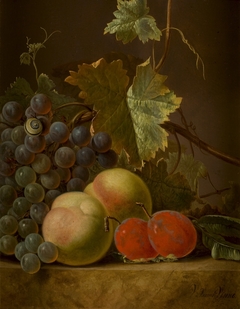 Stilleven met fruit by Vincent Jansz van der Vinne