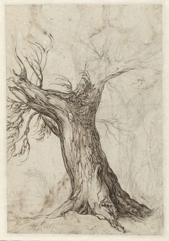 Study of a tree trunk by Jacob de Gheyn II