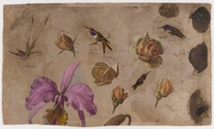 Study of Four Hummingbirds with Roses and an Orchid by Martin Johnson Heade