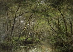 The Brook Canal by César de Cock