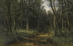The  Dark Wood by Ivan Shishkin