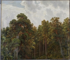 Tops of pines by Ivan Shishkin