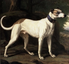 Turck, a Hound Belonging to King Karl XI by David Klöcker Ehrenstrahl