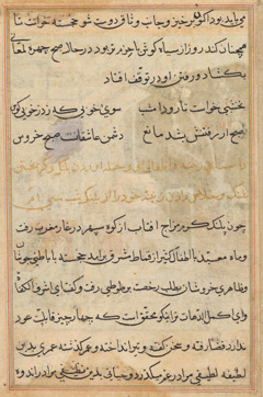 Tuti-Nama (Tales of a Parrot) by Unknown Artist