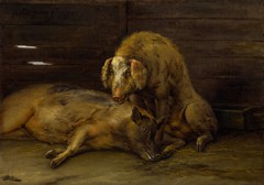 Two Pigs in a Sty by Paulus Potter