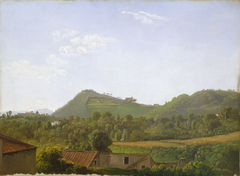 View near Naples by Simon Denis