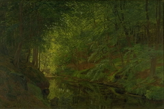 A Brook in Sæbygaard Wood, Vendsyssel, Jutland by Godtfred Rump