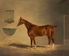 A Chestnut Horse in a Stable by John Frederick Herring