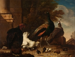 A Hen with Peacocks and a Turkey by Melchior d'Hondecoeter