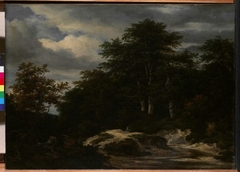 A Wood with a Stream by Jacob van Ruisdael