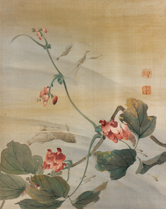 Arrowroot Vine, Shrimp, and Fish by Mori Kansai