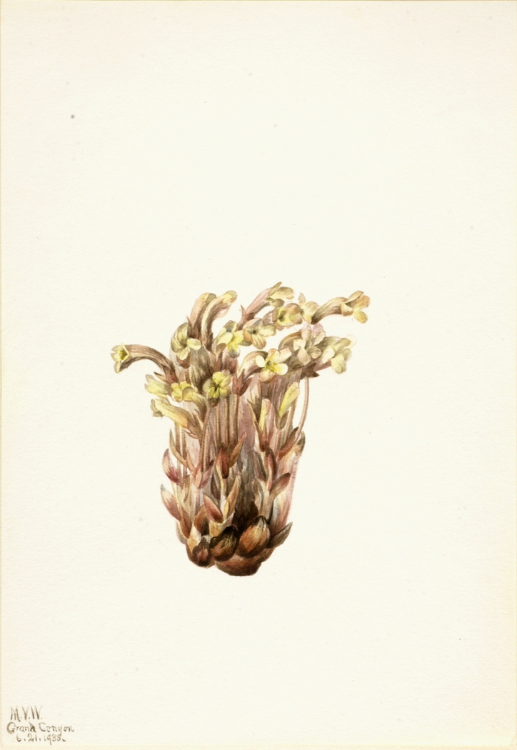 Exhibit image