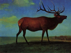 Bull Elk by Albert Bierstadt