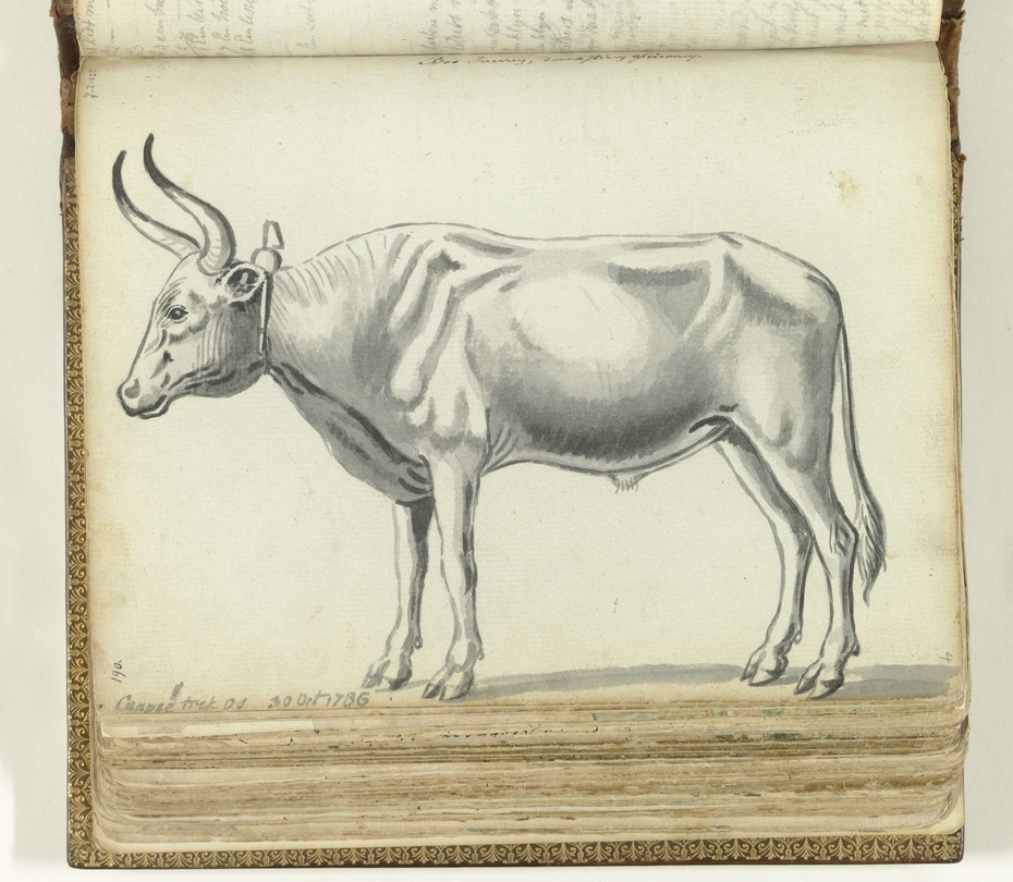 Exhibit image