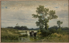 Cows crossing the river by Walery Brochocki