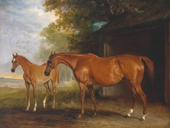 Defiance, a Brood Mare, with Reveller, a Foal by John Ferneley