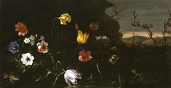 Flowers by a Pond with Frogs by Giuseppe Recco