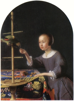 Girl Feeding a Parrot a Nut by Pieter Cornelisz van Slingelandt