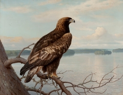 Golden Eagle by a Lake by Ferdinand von Wright