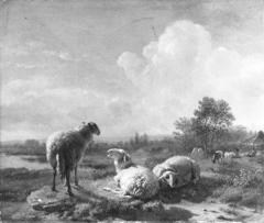 Grazende en rustende schapen in een vlak landschap by Balthasar Paul Ommeganck