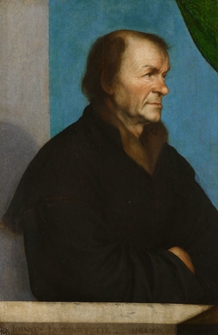 Johannes Froben (1460-1527) by Hans Holbein