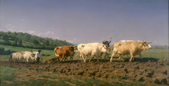 Labourage nivernais by Rosa Bonheur