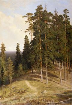 Лес с горы by Ivan Shishkin