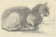 Liggende kat, naar rechts by Guillaume Anne van der Brugghen