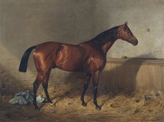 Melton, a Bay Racehorse, in a Stable by Emil Adam