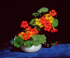 Nasturtiums by Vivian Smith