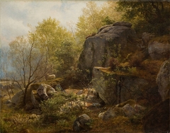 Near Conway, North Wales by Alexander Helwig Wyant