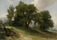 Near Shokan, Ulster County, New York by Asher Brown Durand