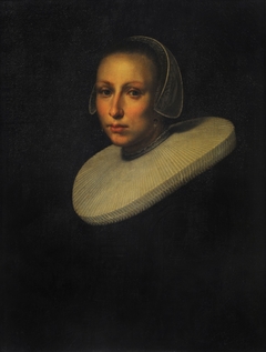 Portrait of a Lady by Nicolaes Eliaszoon Pickenoy