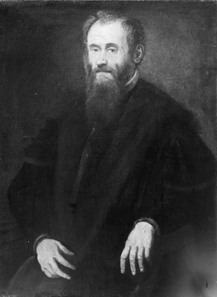 Portrait of a Man by Jacopo Tintoretto