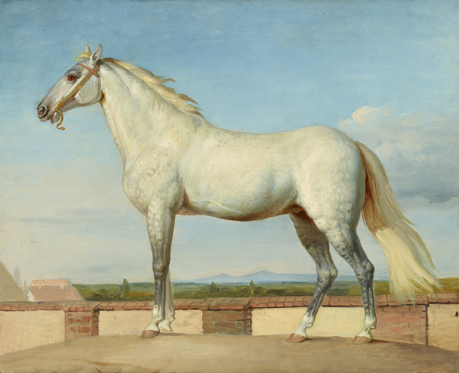 Exhibit image