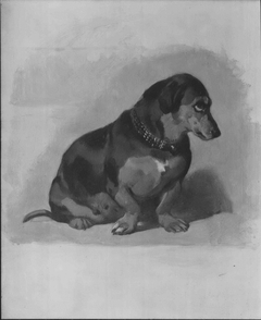 'Sewa' by Edwin Landseer