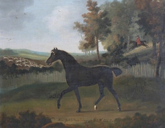 'Silver Jack', a Black Horse in a Field by Francis Sartorius