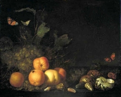 Still Life with Fruit and Shells by Abraham van Calraet