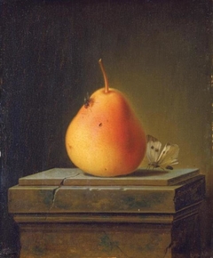Still Life with Pear and Insects by Justus Juncker